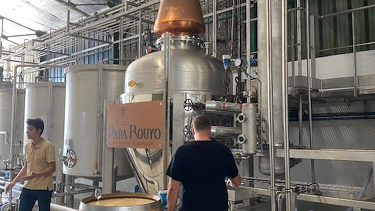 Sainte-Rose — Façade littorale